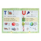 Английский букварь в картинках для начальной школы. Френк И. - Фото 4