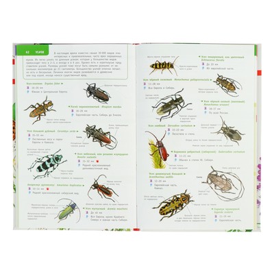 Энциклопедия детская «Лучший определитель. Насекомые России»