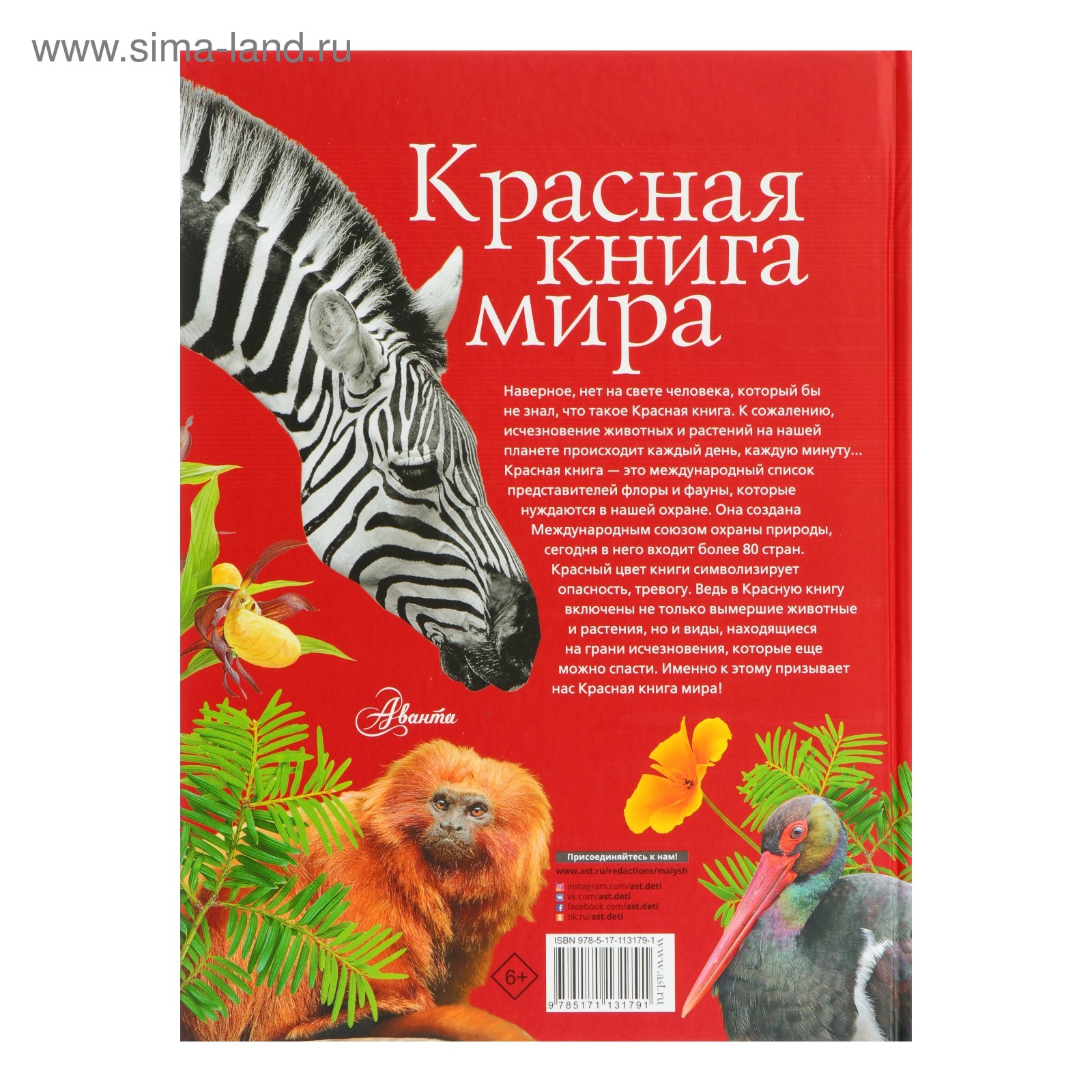 Купить Книгу Миры На Песке Щербакова