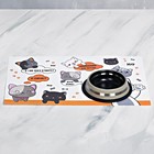 Коврик под миску «Хочу рыбку» 43×28 см - Фото 3