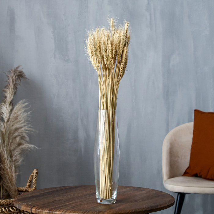 Сухой колос пшеницы, набор 50 шт., белый - Фото 1