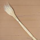 Сухой колос пшеницы, набор 50 шт., белый - Фото 4