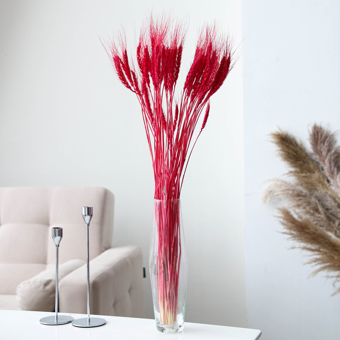 Сухой колос пшеницы, набор 50 шт., красный - Фото 1