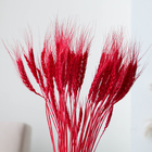 Сухой колос пшеницы, набор 50 шт., красный - Фото 2