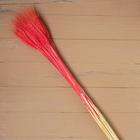 Сухой колос пшеницы, набор 50 шт., красный - Фото 4