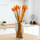 Сухой колос пшеницы, набор 50 шт., жёлтый - Фото 1