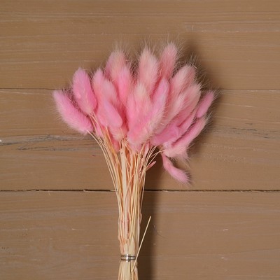Сухие цветы лагуруса, набор: max 60 шт., цвет розовый