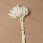 Сухие цветы лагуруса, набор: max 60 шт., цвет белый - Фото 1