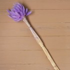 Сухие цветы лагуруса, набор: max 60 шт., цвет фиолетовый - Фото 2