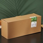 Набор кружек на деревянной подставке BellaTenero, 4 предмета: 400 мл, фарфор, белый - Фото 7