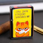 Зажигалка бензиновая «Докурю», 5.5×3.5 см - Фото 5