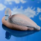 Фигура подсадная "Турпан горбоносый - Утка" - Фото 3