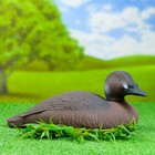 Фигура подсадная "Турпан горбоносый - Утка" - Фото 5