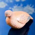 Фигура подсадная "Тетерка" 43х16х22см - Фото 2