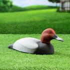 Фигура подсадная "Красноголовый нырок - Селезень" 28х14х7см - Фото 1