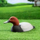 Фигура подсадная "Красноголовый нырок - Селезень" 28х14х7см - Фото 2