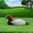 Фигура подсадная "Красноголовый нырок - Селезень" 28х14х7см - Фото 3