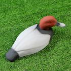 Фигура подсадная "Красноголовый нырок - Селезень" 28х14х7см - Фото 4