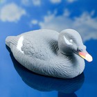 Фигура подсадная "Турпан горбоносый - Селезень" - Фото 1