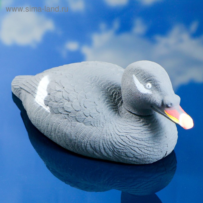 Фигура подсадная "Турпан горбоносый - Селезень" - Фото 1