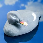 Фигура подсадная "Турпан горбоносый - Селезень" - Фото 2