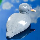 Фигура подсадная "Турпан горбоносый - Селезень" - Фото 4