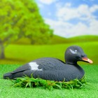 Фигура подсадная "Турпан горбоносый - Селезень" - Фото 5