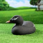 Фигура подсадная "Турпан горбоносый - Селезень" - Фото 7