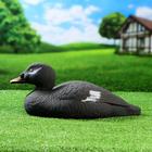 Фигура подсадная "Турпан горбоносый - Селезень" - Фото 8