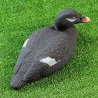 Фигура подсадная "Турпан горбоносый - Селезень" - Фото 9