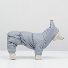 Комбинезон зимний для животных, флисовый подклад, 3XL (ДС 36-38, ОШ 36-37, ОГ 48-52), серый - фото 20976524