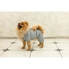 Комбинезон зимний для животных, флисовый подклад, 3XL (ДС 36-38, ОШ 36-37, ОГ 48-52), серый - фото 20976533