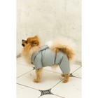 Комбинезон зимний для животных, флисовый подклад, 3XL (ДС 36-38, ОШ 36-37, ОГ 48-52), серый - фото 20976534