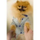 Комбинезон зимний для животных, флисовый подклад, 3XL (ДС 36-38, ОШ 36-37, ОГ 48-52), серый - фото 20976536