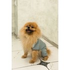 Комбинезон зимний для животных, флисовый подклад, 3XL (ДС 36-38, ОШ 36-37, ОГ 48-52), серый - фото 20976537