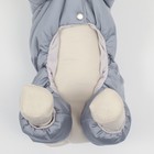 Комбинезон зимний для животных, флисовый подклад, 3XL (ДС 36-38, ОШ 36-37, ОГ 48-52), серый - фото 20976527