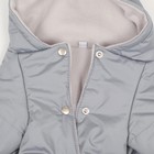 Комбинезон зимний для животных, флисовый подклад, 3XL (ДС 36-38, ОШ 36-37, ОГ 48-52), серый - фото 20976530