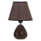 Лампа настольная RISALUX «Инканто», 1×40 Вт, Е27, 18×18×27 см, коричневый - фото 25403634 Лампа настольная RISALUX «Инканто», 1×40 Вт, Е27, 18×18×27 см, коричневый - фото 25403634