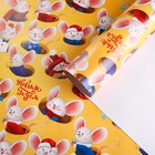 Бумага упаковочная глянцевая «Сырный домик», 70 × 100 см - Фото 1