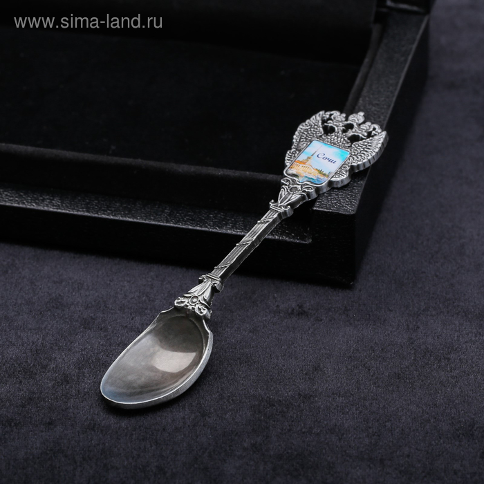 Ложка сувенирная «Сочи. Морской порт», металл - Фото 1