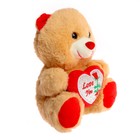 Мягкая игрушка «Мишутка с сердцем», цвет красный - Фото 2