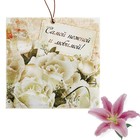 Аромасаше в конвертике "Самой нежной и любимой", аромат лилии - Фото 1