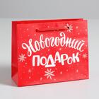 Пакет ламинированный горизонтальный «Новогодний подарок», S 5.5 см х 15 см х 12 см, Новый год - фото 320186093
