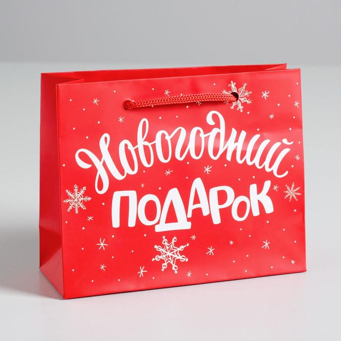 Пакет ламинированный горизонтальный «Новогодний подарок», S 5.5 см × 15 см × 12 см - Фото 1