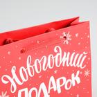Пакет ламинированный горизонтальный «Новогодний подарок», S 5.5 см × 15 см × 12 см - Фото 4