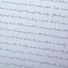 Пленка для цветов и букетов «Послание», белая, 0.6×10 м - Фото 2