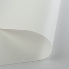 Пленка для цветов "Перламутр", белый, 58 см х 5 м - фото 8491832