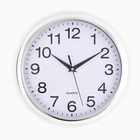 Часы настенные, серия: Классика, "Картер", дискретный ход, d-25 см - фото 2136678
