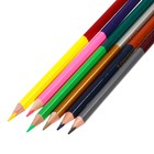 Цветные карандаши, 12 цветов, двусторонние, Маша и Медведь - Фото 4