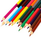 Цветные карандаши, 24 цвета, трехгранные, Маша и Медведь - Фото 4